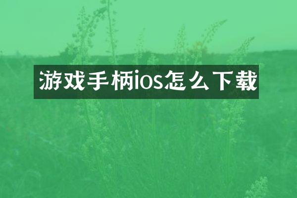 游戏手柄ios怎么下载