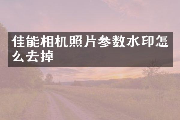 佳能相机照片参数水印怎么去掉