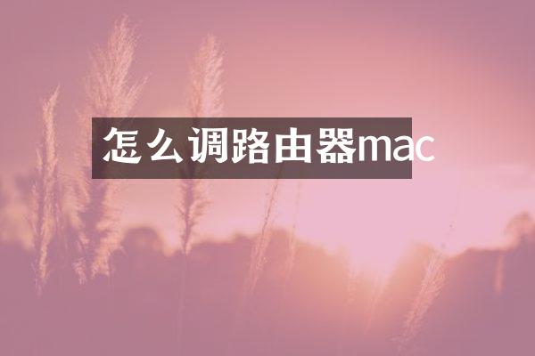 怎么调路由器mac