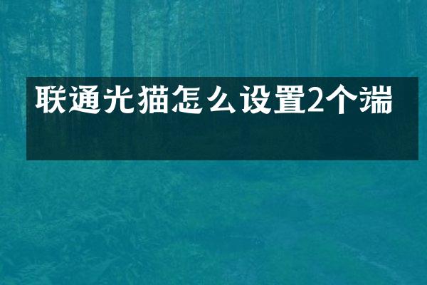 联通光猫怎么设置2个端口