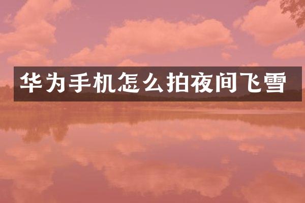 华为手机怎么拍夜间飞雪