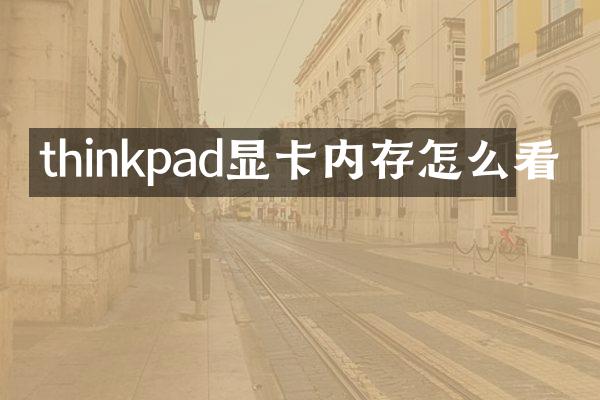 thinkpad显卡内存怎么看