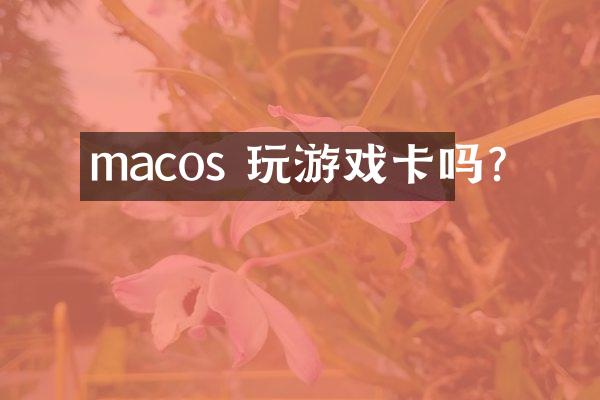 macos 玩游戏卡吗?