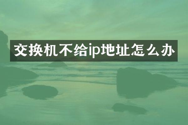 交换机不给ip地址怎么办
