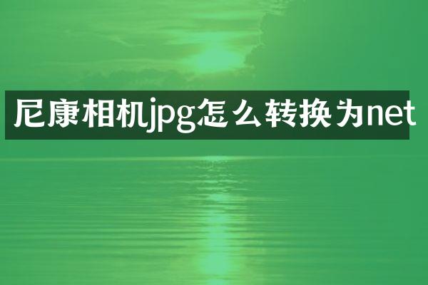 尼康相机jpg怎么转换为net