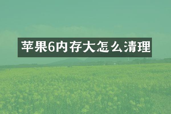 苹果6内存大怎么清理