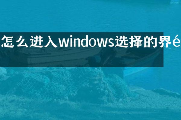 怎么进入windows选择的界面