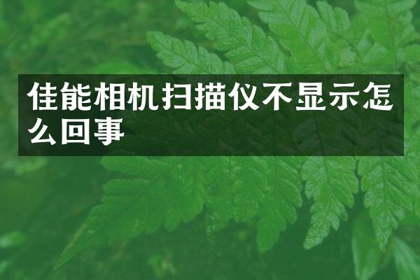 佳能相机扫描仪不显示怎么回事