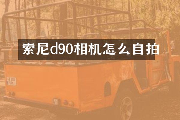 d90相机怎么