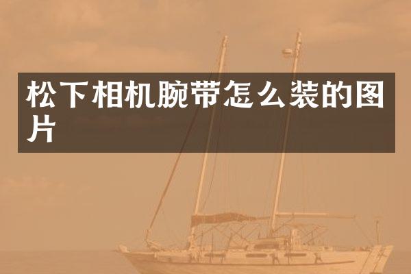 相机腕带怎么装的图片