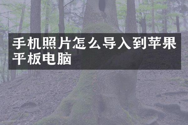 手机照片怎么导入到苹果平板电脑