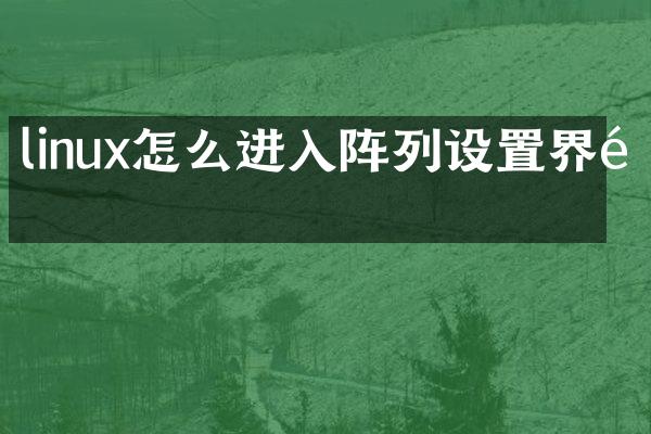 linux怎么进入阵列设置界面