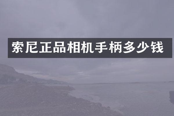正品相机手柄多少钱