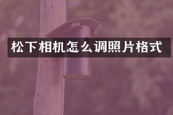 相机怎么调照片格式
