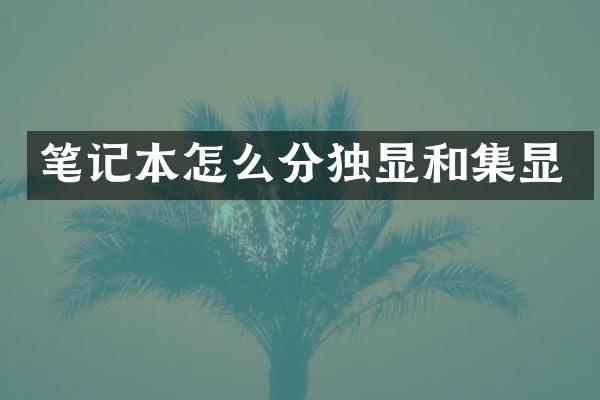 笔记本怎么分独显和集显