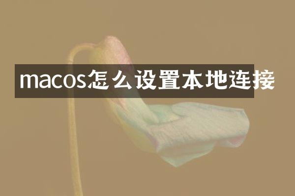 macos怎么设置本地连接
