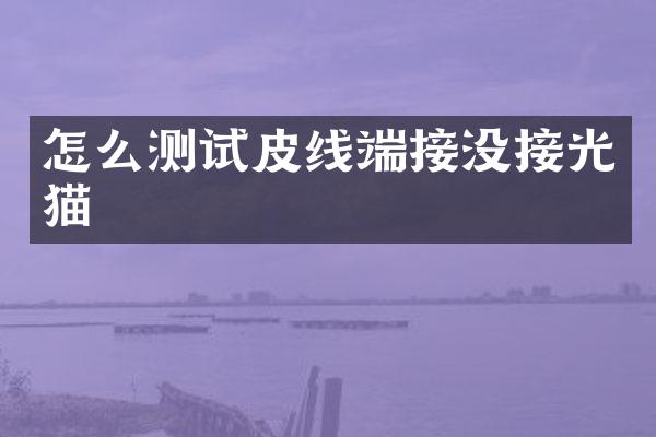 怎么测试皮线端接没接光猫