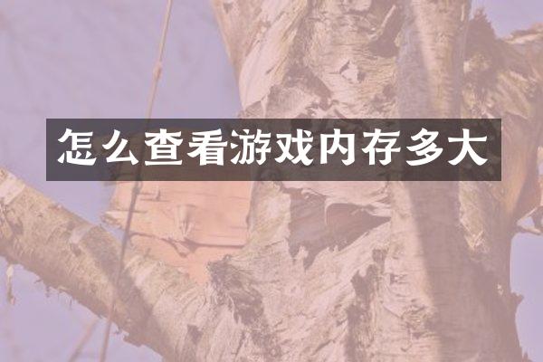 怎么查看游戏内存多大