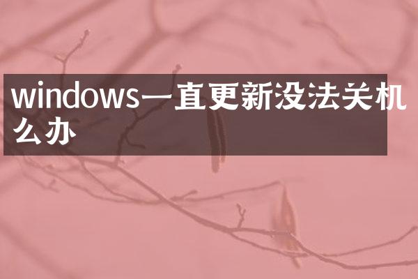 windows一直更新没法关机怎么办