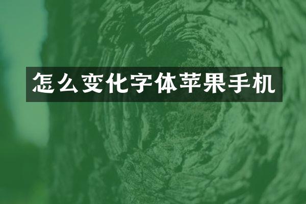 怎么变化字体苹果手机