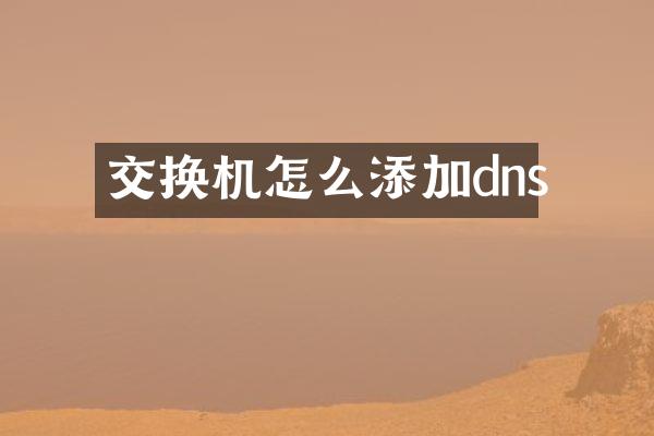 交换机怎么添加dns