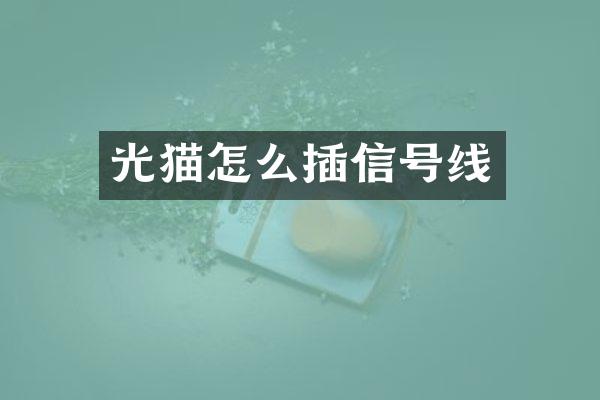 光猫怎么插信号线