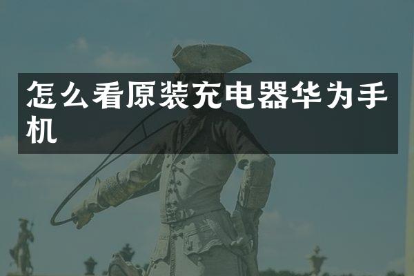 怎么看原装充电器华为手机