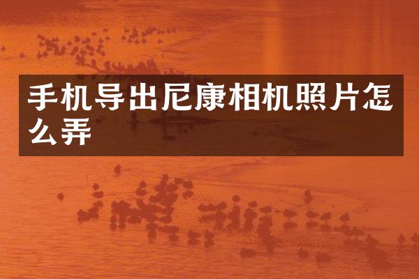 手机导出尼康相机照片怎么弄