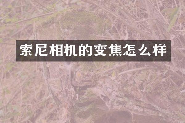 相机的变焦怎么样