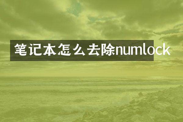 笔记本怎么去除numlock