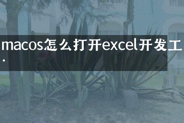macos怎么打开excel开发工具