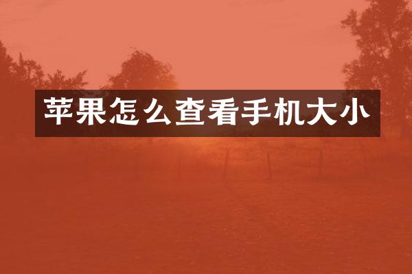 苹果怎么查看手机大小