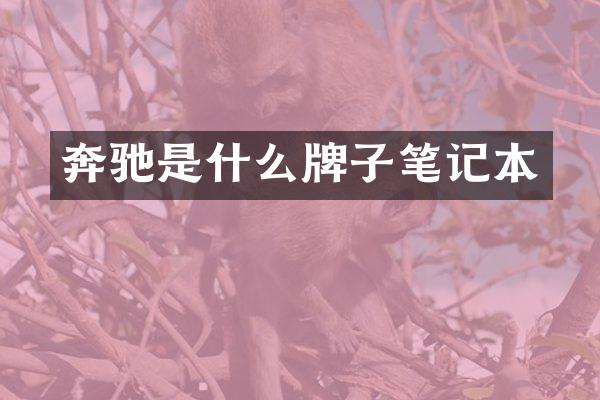 奔驰是什么牌子笔记本