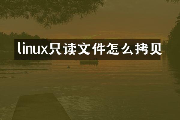 linux只读文件怎么拷贝
