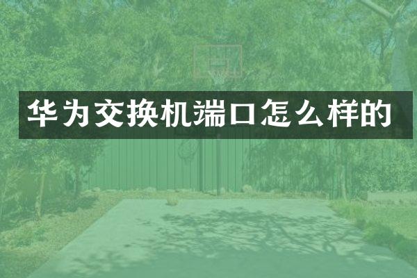 华为交换机端口怎么样的