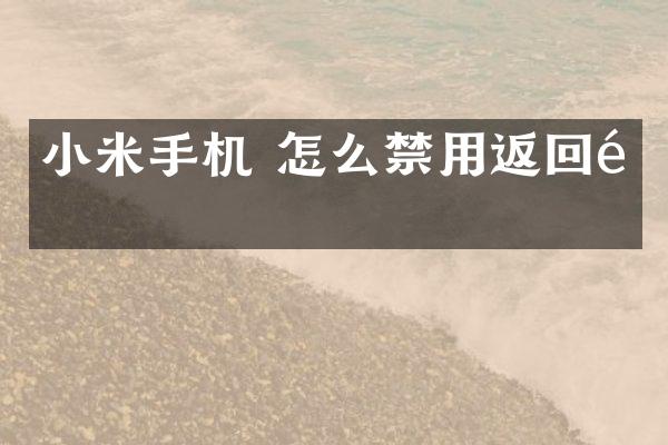 小米手机 怎么禁用返回键