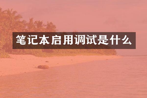 笔记本启用调试是什么