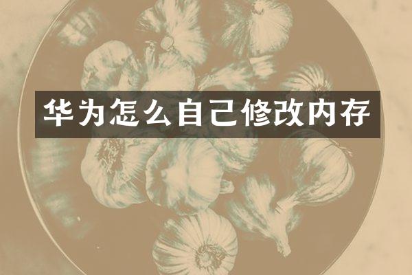 华为怎么自己修改内存