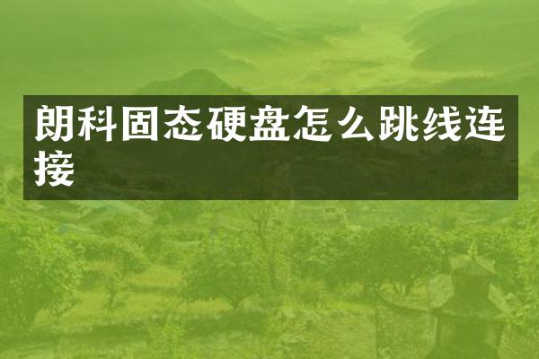 朗科固态硬盘怎么跳线连接