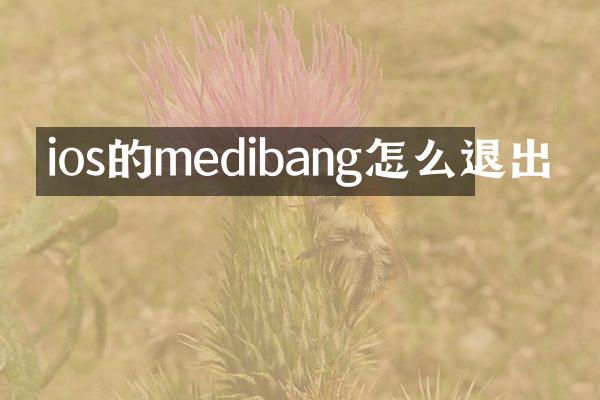 ios的medibang怎么退出