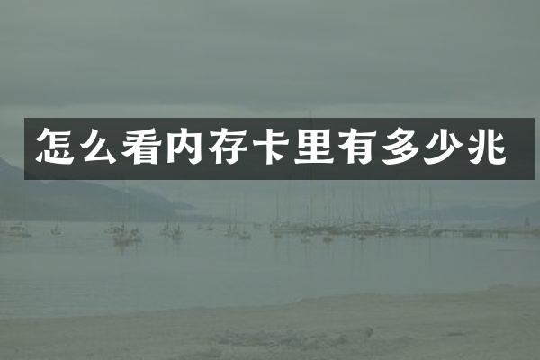 怎么看内存卡里有多少兆