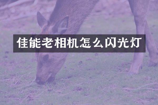 佳能老相机怎么闪光灯