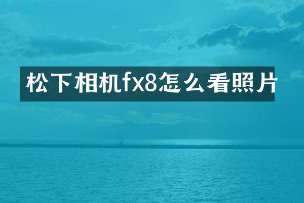 相机fx8怎么看照片