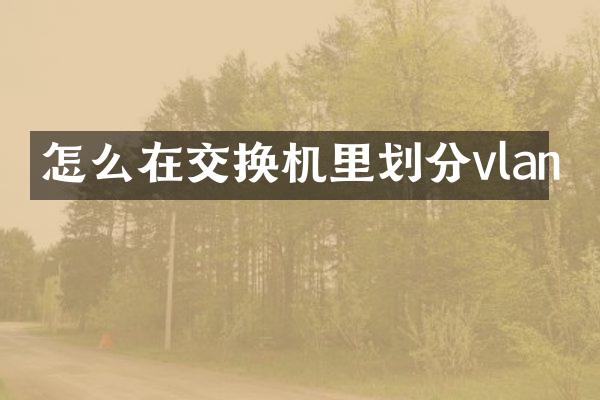 怎么在交换机里划分vlan