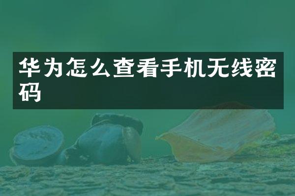 华为怎么查看手机无线密码
