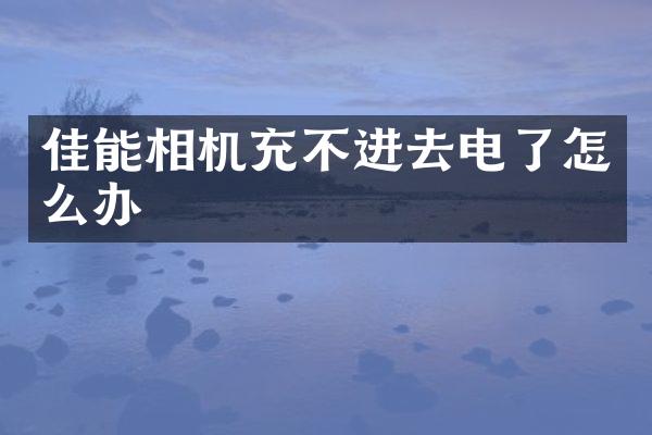 佳能相机充不进去电了怎么办