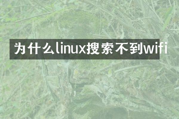 为什么linux搜索不到wifi