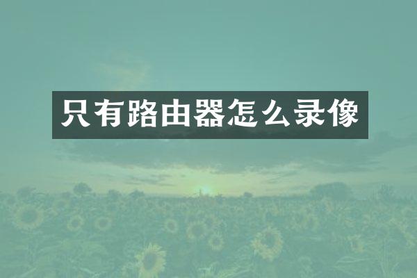 只有路由器怎么录像