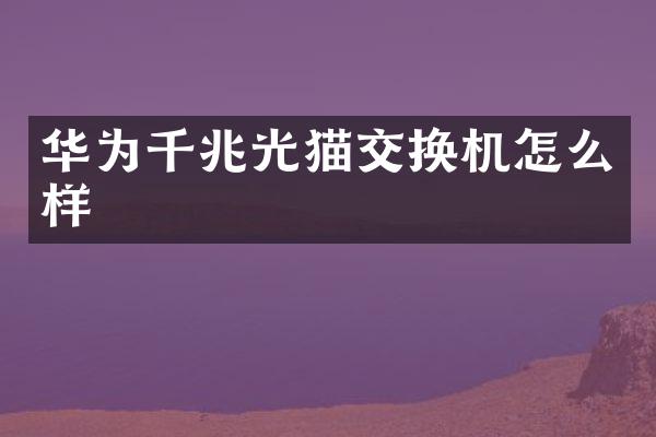华为千兆光猫交换机怎么样