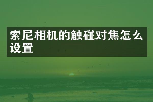 相机的触碰对焦怎么设置